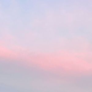 Meet your Posher, Autum